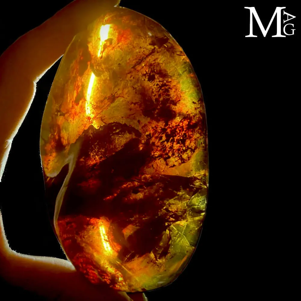 Blue Fossil Amber from Chiapas – Mexican Amber